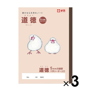 y3Zbgz TNwK  5~ \[_[ B5  CXg TNNpX - [֑Ώ