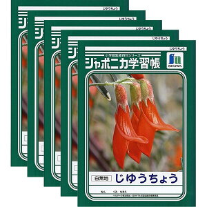 VEm[g W|jJwK 䂤傤 (1E2Np) JL-72 5Zbg - [֑Ώ