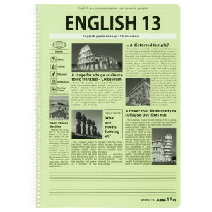 LNgE pKm[g VOO 13i P01F13 - [֑Ώ