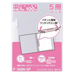 LIHIT [p[t@C F-3006-5P A4S  5 - [֕s