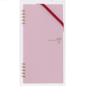 Ca.Crea(JNG) A4×1/3TCY (cCO)  RT-650GC - [֑Ώ