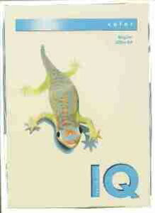 伊東屋 バイオトップカラーA4(500枚入) BT530 バニラ