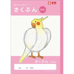 wK B5 Ԃ 120 NJ105 앶 m[g Ē×S wZ 킢 TNNpX - [֑Ώ