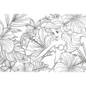 楽天市場 キャラクター アートぬりえ アリエル ディズニー プリンセス メール便対象 絵画材料と文房具のお店 画材本舗
