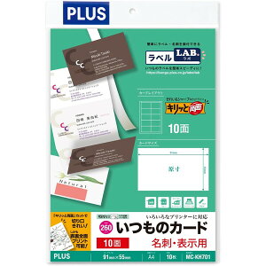 vX ̃J[huLbƗʁvhE\p zCg }`p FSC~bNXF؎ ʎ  A4 10V[g 100