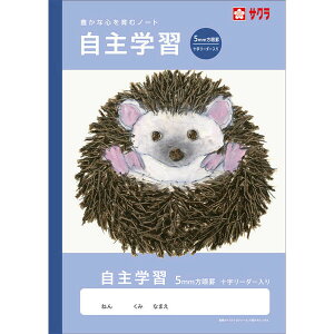 �w�K�� B5 ����w�K ����r5�~�� �\�����[�_�[���� NJ110 �m�[�g �Ē×S�� ���w�Z ���킢�� �T�N���N���p�X - ���[���֑Ώ�