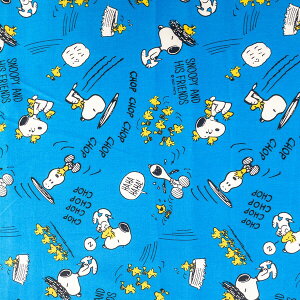 Xk[s[ LN^[ vg n z EbhXgbN u[ 109cm 100cmJbg