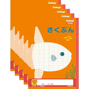 LNgE JbWAj}wK Ԃ 120l 5Zbg - [֑Ώ