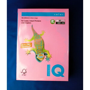 ɓ oCIgbvJ[A4(500) BT504 sN