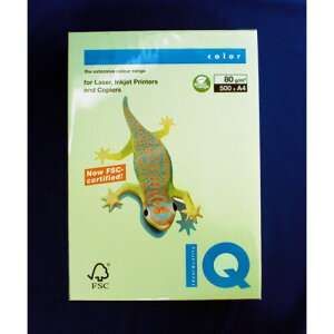 ɓ oCIgbvJ[A4(500) BT505 O[