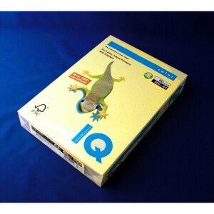 ɓ oCIgbvJ[A4(500) BT503 CG[