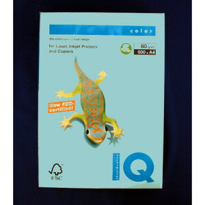 ɓ oCIgbvJ[A4(500) BT508 ~fBAu[