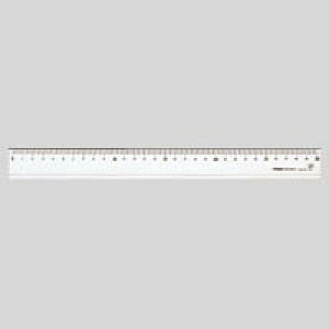 NE NEANK30cm CR-RR103 - [֕s