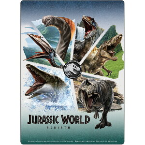 WVbN[h NA~ B5m[gΉ   _Ci\[ lC f w wpi VEm[g - [֑Ώ