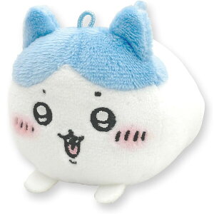   n` S8cm {[`F[t ʂ }XRbg lC SNS 킢 GCR[ - [֕s