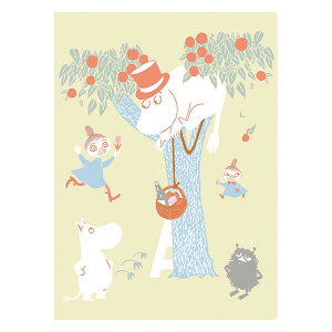 [~ A5 _ut@C ؂̏ NAt@C _u|Pbg 2 킢  - [֑Ώ