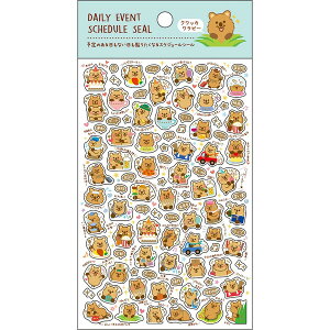 XPW[V[ NbJr[ \ XPW[ 蒠 PETf 킢  { pCubN - [֑Ώ