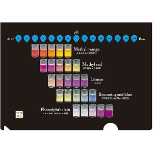 NAt@C pHw A4  vg  [ ϐF v[g w  `[g o - [֑Ώ