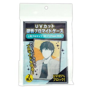 コアデ UVカット 硬質ブロマイドケース L判 2枚入り 3個セット