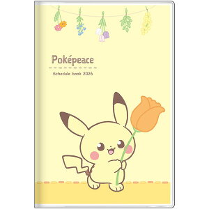 TX^[ |PbgX^[ |Ps[X _CA[ XPW[ 蒠 2026N  B7 sJ`E - [֑Ώ