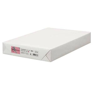 WCebN J[y[p[  B4  500 A272J-7