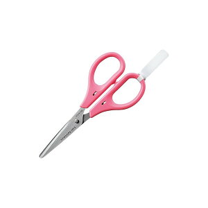 RN nT~ nn45mm S135x60 sN [nT-2P] - [֑Ώ