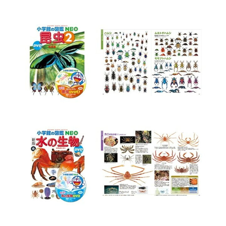 楽天市場】小学館の図鑑NEO ドラえもん DVD付 14冊セット 昆虫/動物/魚 