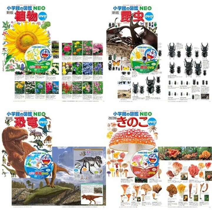 楽天市場】小学館の図鑑NEO ドラえもん DVD付 14冊セット 昆虫/動物/魚 