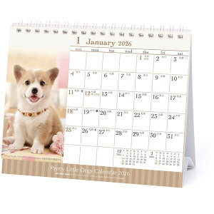 2026N J_[  e _uO fXN d \  킢 ʐ^ tHg  - [֑Ώ