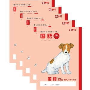 TNNpX TNwK  12s [_[ 5Zbg - [֑Ώ