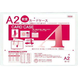 ORIONS N[\tgP[X A2TCY SC-12 - [֕s