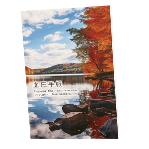 G 蒠 DX HiF l - [֑Ώ