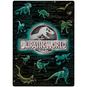 WVbNE[h ~ B5 LIMEX CbNX [}\ 2026Nf  w i VEm[g - [֑Ώ