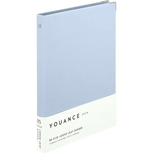 }} [Y[t oC_[ AX B5 26 u[O[ F119-41