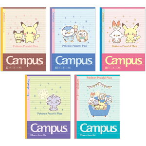 |P |Ps[X LpXm[g Z~B5 hbg Br 6mmr 35s 30 5pbN w Z ׋  VEm[g