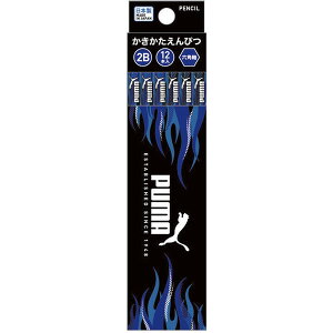 PUMA v[} M 2B u[ 2 12{ Zp  O w w j̎q  { Nc - [֑Ώ