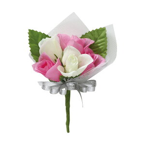 RT[W X^[t@Cu 75033   w Ǝ - [֕s