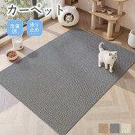 ラグ 洗える オールシーズン ペルシャ風 北欧 防ダニ 滑り止め付 ホットカーペット対応 床暖房対応 マッ…
