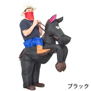 nEB ߑ  GARX GA[n  @t RXv NX}X C[U ߑ RX`[ jp qp lp c C  p[eB[  nEB