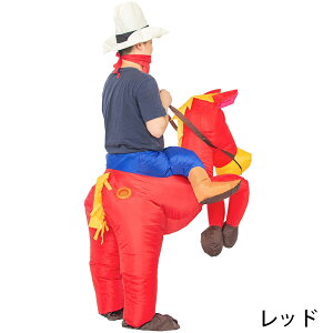 nEB ߑ  GARX GA[n  @t RXv NX}X C[U ߑ RX`[ jp qp lp c C  p[eB[  nEB