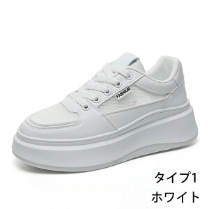 Xj[J[ fB[X w l X|[cV[Y C X|[c V[Y ~ h +5cm C r ₷ Ȃ ɂȂ ʋC Vv tbg lG ʊw ʋ