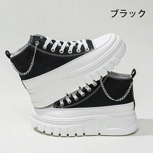 nCJbgXj[J[ fB[X C ؍ [XAbvXj[J[ +4cm C `F[t ₷  킢 JWA rr ȂV[Y {[\[ 