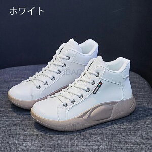 y撅200l聙 500~OFFzXb|  nCJbgXj[J[ fB[X N pvX O fB[X V[Y Xb| ₷ V[Y Xb| 