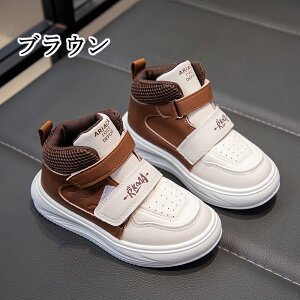 LbYV[Y ^C ʊwC qC LbY Xj[J[ ʊw jOV[Y qǂ ̎q j̎q RۖhL ₷ Cws nCLO ct v[g