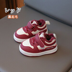 cC xr[V[Y Ԃ C ^C qC LbY Xj[J[ jOV[Y qǂ ̎q j̎q y ~ RۖhL sK ₷ 킢  nCLO