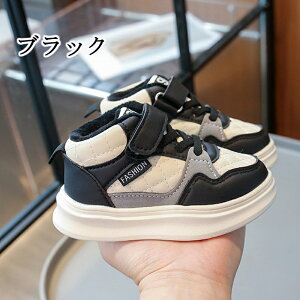 cC xr[V[Y Ԃ C ^C N qC LbY Xj[J[ jOV[Y qǂ ̎q j̎qy ۉh ~ RۖhL sK ₷  nC