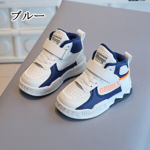 cC xr[V[Y Ԃ C N qC ^C LbY jOV[Y qǂ ̎q j̎q ۉh ~ RۖhL sK ₷  nCLO ۈ牀 