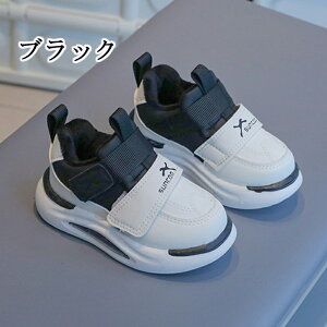 cC xr[V[Y Ԃ C N qC ^C LbY jOV[Y qǂ ̎q j̎q ۉh ~ RۖhL sK ₷  nCLO ۈ牀 