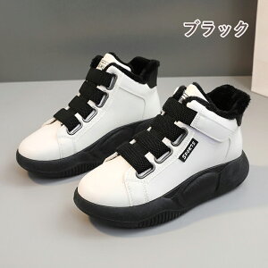 Xm[u[c fB[X nCJbg ~C C h h h g y [Nu[c AEghA gbLOV[Y ۉ ~ nCLOV[Y V[gu[c ʋ ʊw 