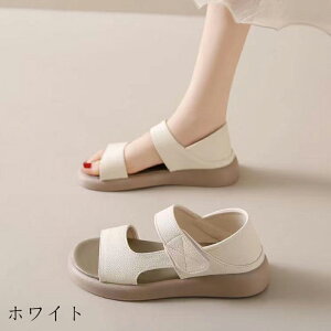 tbg T_ fB[XT_ T_ fB[X SXgbv ₷ r O  y JWA ɂ }WbNe[v ɂȂ ʋC K l